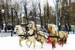 Михаил Казенкин // лошади на праздник в Одинцово