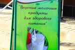 Магазины мясной и молочной продукции Избенка и Снежана в Одинцово