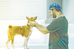 Ветеринарный центр «Комондор» в Одинцово.