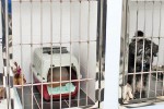 Ветеринарный центр «Комондор» в Одинцово.