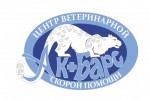 барс