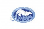 барс