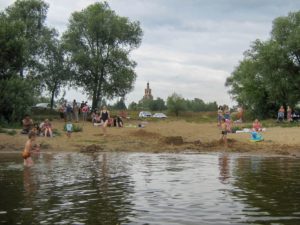 Борки