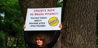 Пикет против строительства Северного дублера Кутузовского проспекта