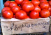 Азербайджанские томаты