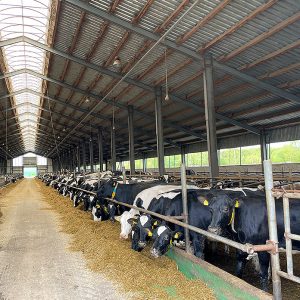 «100 семейных компаний под патронатом Президента ТПП РФ» посетили Рязань и побывали в гостях на лучших предприятиях региона