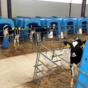 «100 семейных компаний под патронатом Президента ТПП РФ» посетили Рязань и побывали в гостях на лучших предприятиях региона